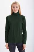 Pima Cotton Long Sleeve Turtleneck  #71353A